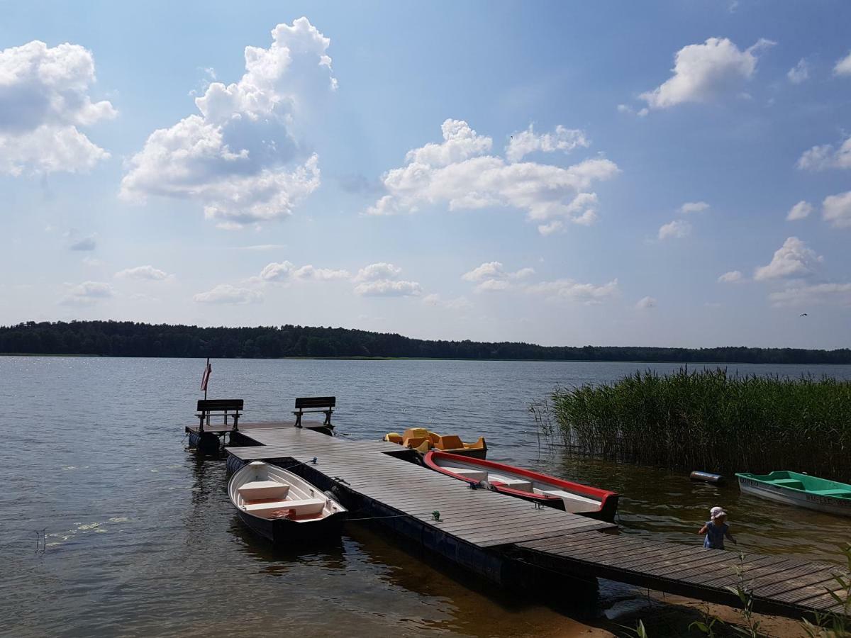 Mazurska Niezapominajka
